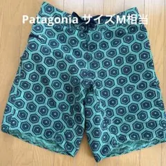 patagonia メンズ水着 29サイズ