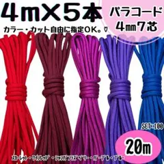 Item thumbnail for item 8c8edf17-2208-4880-b7a2-878c2e31b3c9