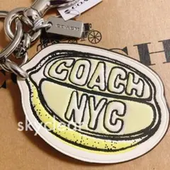 COACH コーチ イルカ いるか マリン サーフ キーホルダーキーリング極