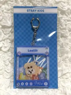 Stray Kids　スキズ　TOY WORLD　ペンミ　リービット　リノ