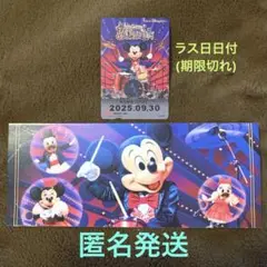 ディズニー　リゾートライン フリーきっぷ　リゾラ　ビッグバンドビート　BBB