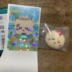 ラッコ先生セットのサムネイル