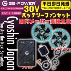 平日即日発送2026年長信ジャパン30Vバッテリーブラック ファンティアラB 平日即日発送2026年長信ジャパン30Vバッテリーブラック ファンティアラ