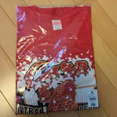 Item thumbnail for item 874981a6-d39d-457a-8137-0ee07aeab9c1