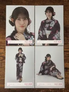 櫻坂４６　向井純葉　2025年　浴衣　４種フルコンプ