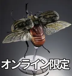 いきもの大図鑑 カブトムシ０４ ディスプレイスタンドセット ギアスゾウカブトのサムネイル