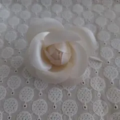 Item thumbnail for item 7902605d-4711-40dd-9803-2009a01d8d3e