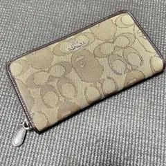 Bape coach ラウンドファスナー　ウォレットのサムネイル