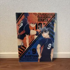 ハイキュー　烏野高校　クリアファイル