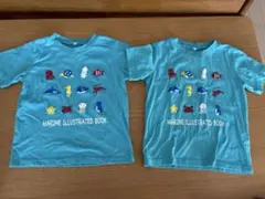 Tシャツ 120cm 2枚セット　半袖　双子　おそろい