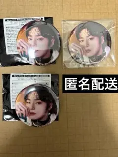 スキズ the victory グッズ まとめ売り バンチャン Stray Kids バンチャン SKZOO The victory トレカ - メルカリ