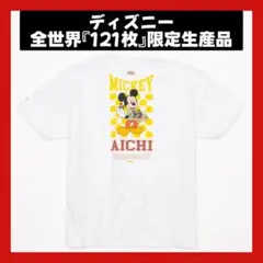 DISNEY MY HOME TOWN COLLECTION 愛知県 Tシャツ