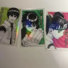 NARUTO ロックリー　ガイ　テンテン　オーロラカード