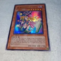 遊戯王 トゥーン・ブラック・マジシャン・ガール　韓国版
