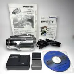 Panasonic NV-GS250-S ビデオカメラ miniDV対応