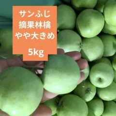 摘果りんご　やや大きめ　加工用サンふじ林檎　約5キロ 送料込み 105のサムネイル