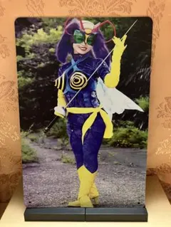 秘密組織 蜂女 メディコムトイ タイムハウス THM 14 仮面ライダー 秘密組織 蜂女 メディコムトイ タイムハウス THM 14 仮面ライダー