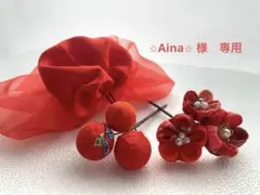 ⭐︎Aina⭐︎ 様専用