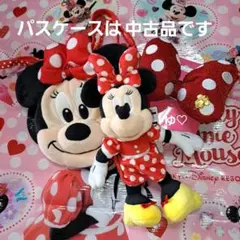 ディズニーミニーぬいぐるみバッジノーマル　ミニーヘアゴム大きいサイズ　パスケース