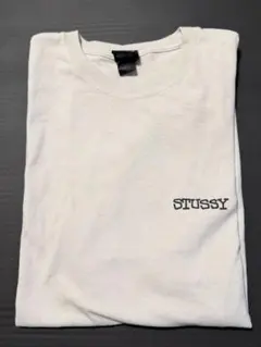 STUSSY Tシャツ
