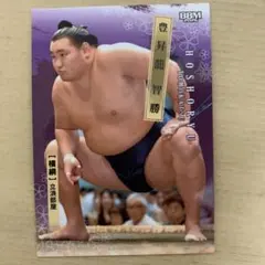 2026年最新】豊昇龍智勝の人気アイテム - メルカリ