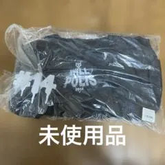 バンプオブチキン　WILLPOLIS 2014 ボストンバッグのサムネイル