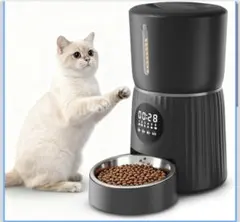 Item thumbnail for item 5c4d61a7-8f23-4d3c-8b1d-5d5e74fef6d0