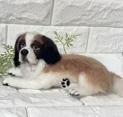 大型犬 セント・バーナード 樹脂製 オブジェ 高さ80㎝ - メルカリ