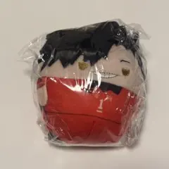 ハイキュー 黒尾鉄朗 ふわコロりん8