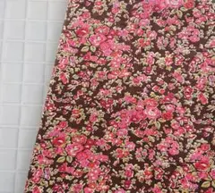 Item thumbnail for item bc98391a-63bb-4229-a82a-e86a8577b259