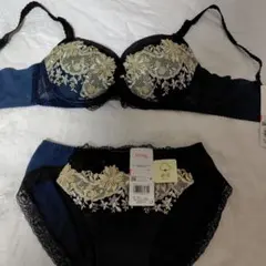 再値下げ【新品タグ付】Wing スキマフィットブラ C80とLペアショーツセット