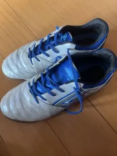 Item thumbnail for item 8b5f28c8-7597-4249-b882-839a38171e99