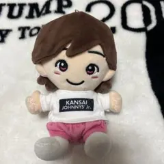 2025年最新】道枝駿佑ちびぬいの人気アイテム - メルカリ