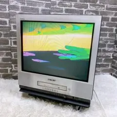 SONYトリニトロン　ブラウン管テレビ AVマルチ RGB接続　引き取り限定 SONYトリニトロン ブラウン管テレビ AVマルチ RGB接続 引き取り限定
