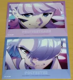 パンティ&ストッキング ポリエステル ポリウレタン ブロマイド2枚セット