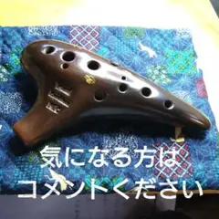 2025年最新】ピエタオカリナの人気アイテム - メルカリ