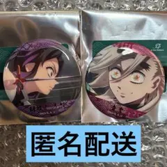 胡蝶しのぶ 童磨 アニメイト トレーディング名場面 ホログラム缶バッジ 鬼滅の刃