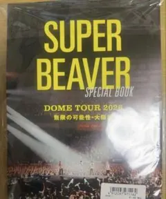 SUPER BEAVER ロッキングオンジャパン2026年11月号 付録