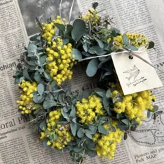 【ユーカリと三角葉アカシアのリース】 ユーカリ　ミモザ　ナチュラル　リース