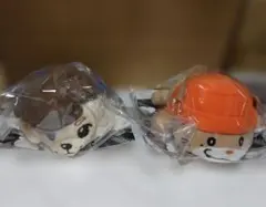 岩田剛典・NAOTO　ECHOES OF DUALITYグッズセット