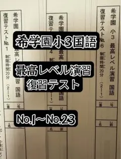 小3 希学園ベーシック復習テスト　国語.算数2教科 小3 希学園ベーシック復習テスト 国語.算数2教科 希学園 小2 2024