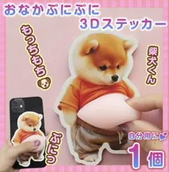 おなかぷにぷにシール 柴犬3D立体ステッカー1枚 ぷっくりお腹いぬ 犬 しば犬