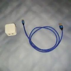 充電器とゴード付き