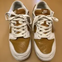 Nike DUNK リバースカリー　27cm