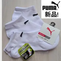 PUMA プーマ ソックス 3足組 23-25cm