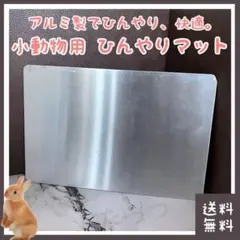 Item thumbnail for item b79dc6da-88ef-4f28-821d-b269ef111be3