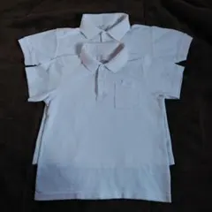 Item thumbnail for item 286dd16b-b92b-43a3-bafe-1fa1677b9f02