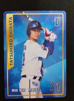 横浜DeNAベイスターズ ベイスターズハーバー 柴田竜拓選手トレーディングカード