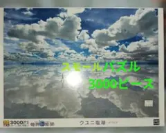 ウユニ塩湖 3000ピース ジグソーパズル 完成品 パネルつき - メルカリ