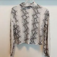 Item thumbnail for item 293b8099-eac1-45d5-8305-2cbf87204ba3